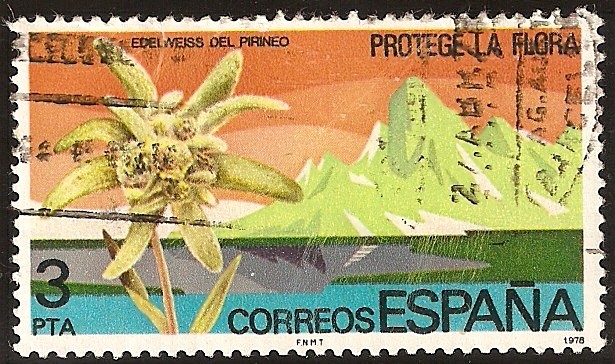 Protección de la naturaleza - Edelweiss del Pirineo