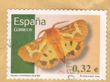 Mariposa