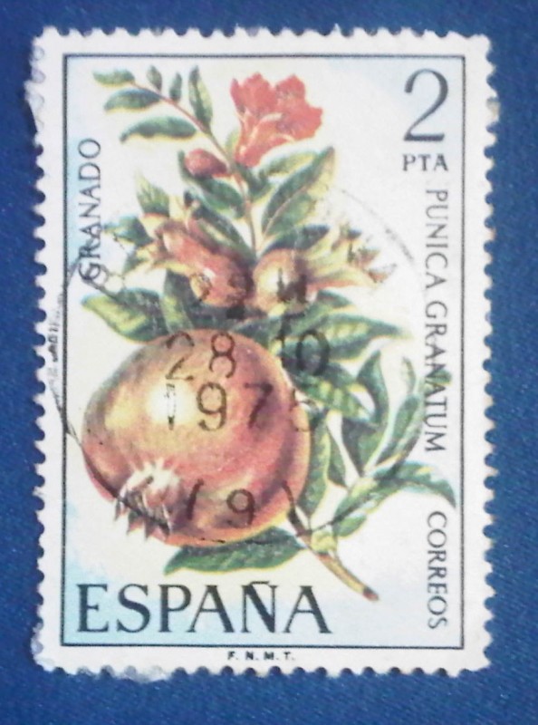 GRANADO -PUNICA GRANATUM- Ed:2255 (Flora española 1975-frutas)