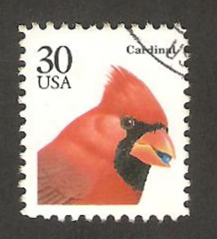 fauna cardinal