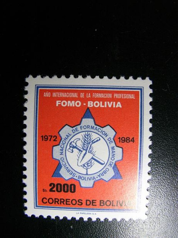 Año internacional de la formacion profesional
