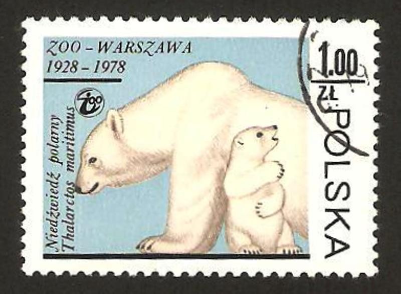 zoo de varsovia, osos polares