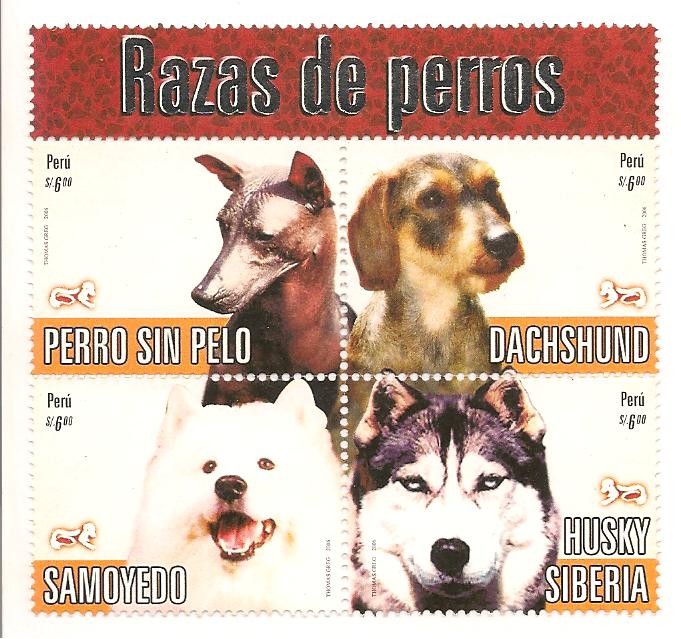 Razas de Perros