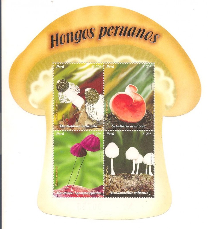 Hongos Peruanos