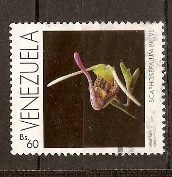 ORQUÍDEAS