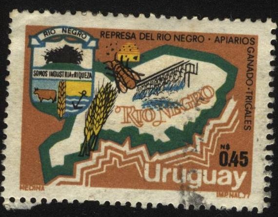 Escudo y mapa del departamento de Río Negro. Represa de Palmar. Apiarios, trigales, ganado.