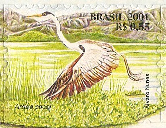 Serie Pantanal - Ardea cocol