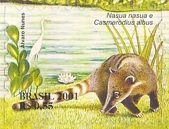 Serie Pantanal - Nasua nasua y Casmerodius albus