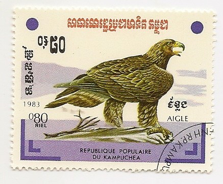 Aguila