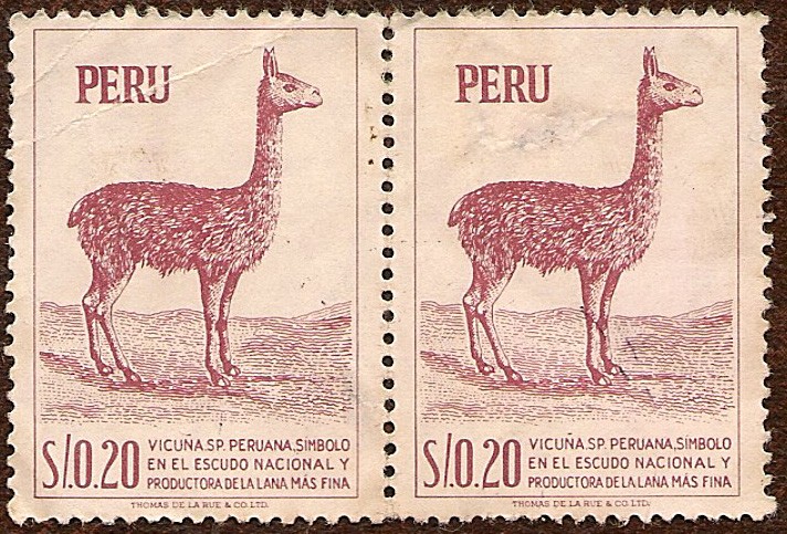 Vicuña Peruana