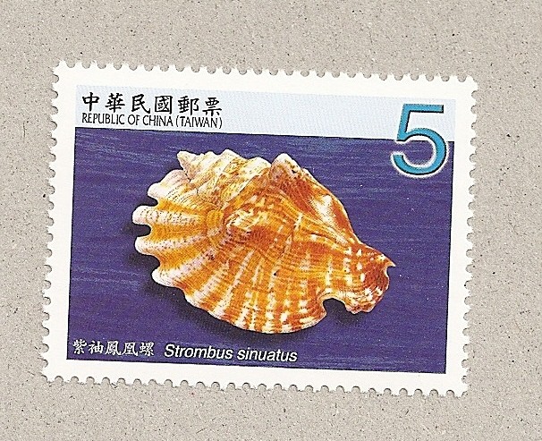 Conchas marinas de Taiwán