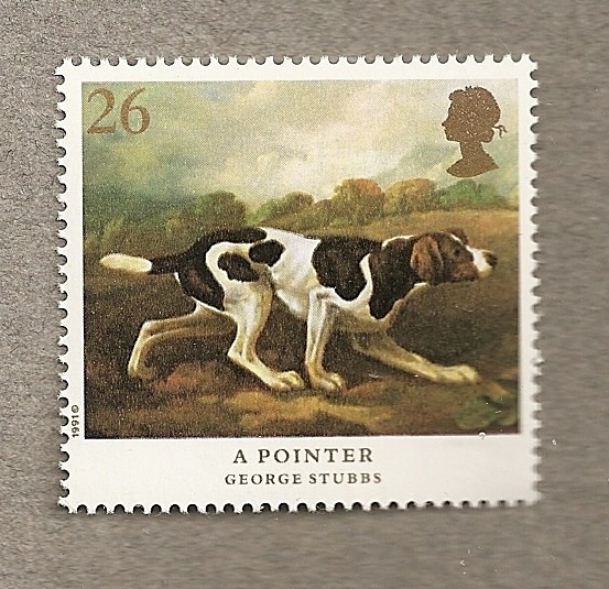 Perros distinguidos