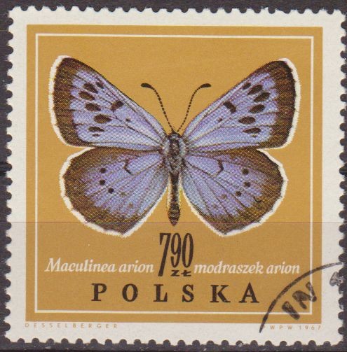 Polonia 1967 Scott 1550 Sello Nuevo Mariposa Butterflies Maculinea Arion Matasellos favor Preobliter