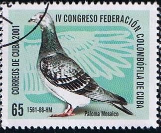 IV Congreso Federacion Colombofila de Cuba (Paloma Mosaico )