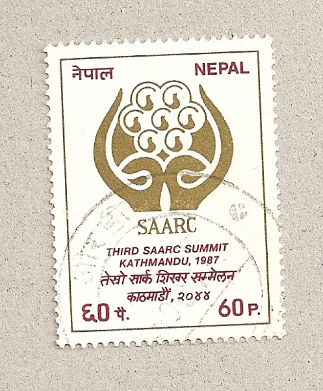 Cumbre del SAARC