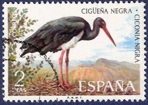 Fauna Hispanica