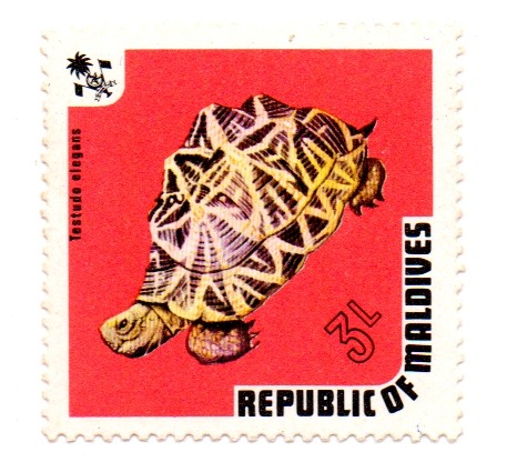 REPUBLICA DE MALDIVES