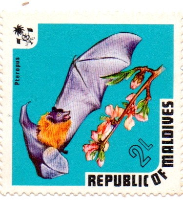 REPUBLICA DE MALDIVES
