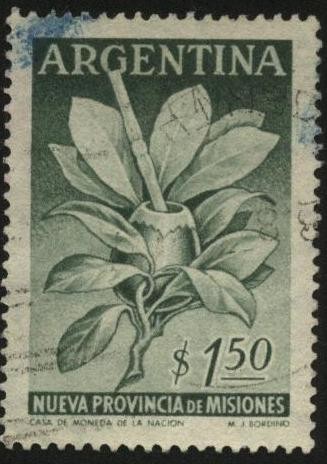 Rama y hojas de la Ilex Paraguariensis - yerba mate - . Recipiente también denominado mate y bombill