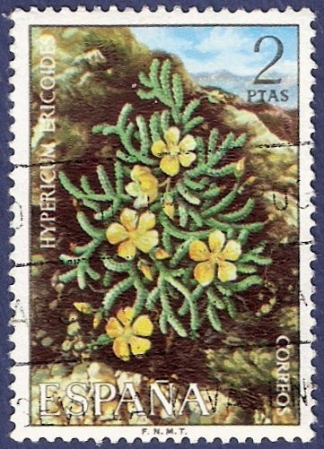 Flora