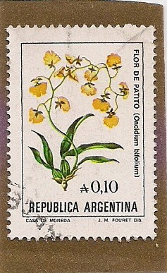 Flor de Patito