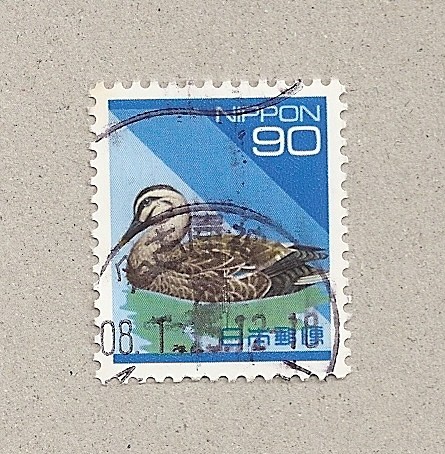 Pato