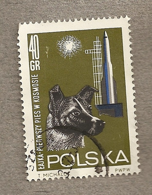 Perrita Laika