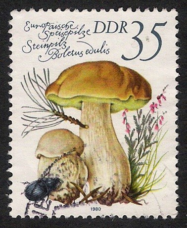 SETAS-HONGOS: 1.152.025,03-Boletus edulis -Dm.980.83-Y&T2214-Mch.2555-Sc.2141