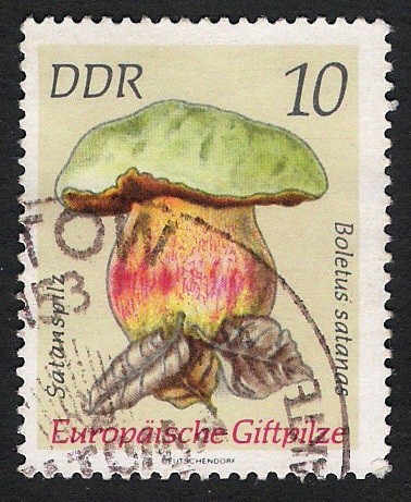 SETAS-HONGOS: 1.152.012,02-Boletus satanas -Dm.974.28-Y&T1614-Mch.1934-Sc.1534