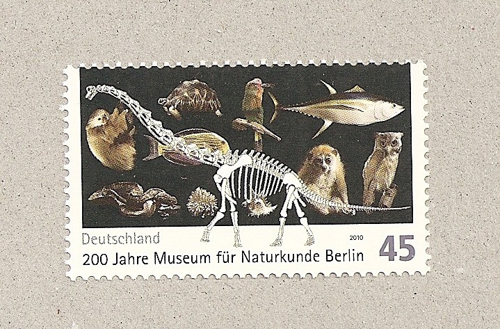 200 años museo historia natural de Berlín