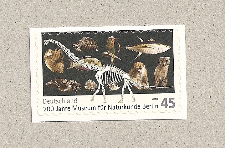 200 años museo historia natural de Berlín