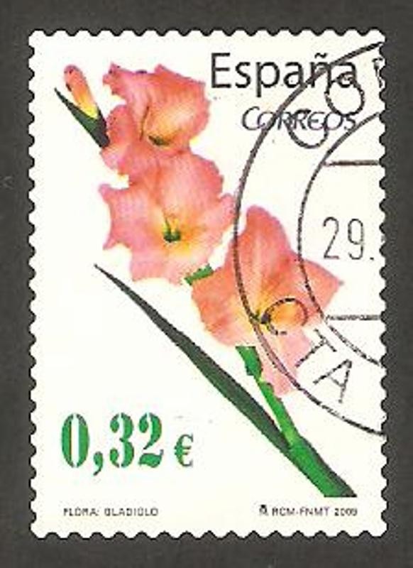 4463 - flor gladiolo