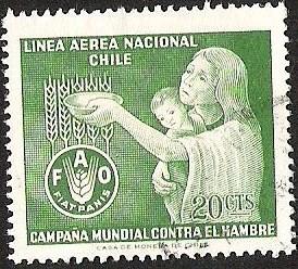 CAMPAÑA MUNDIAL CONTRA EL HAMBRE