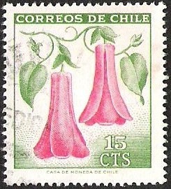 COPIHUE FLOR NACIONAL