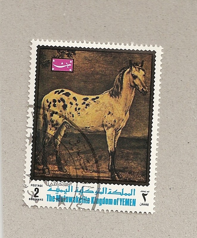 Caballo