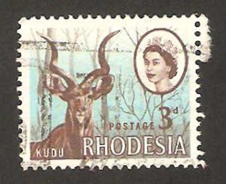 rhodesia - elizabeth II y antilope kudu