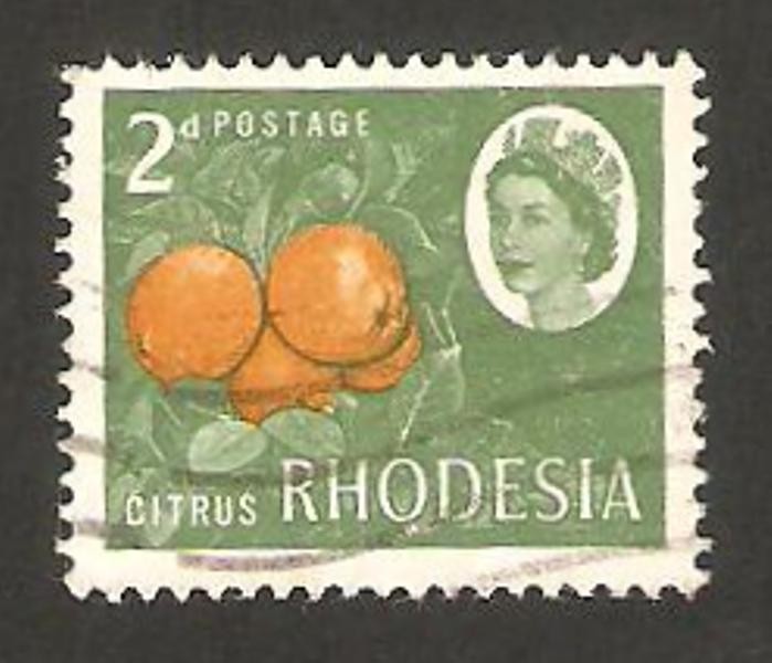 rhodesia - fruta, cítricos