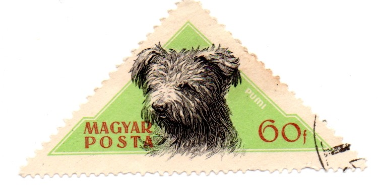 1956-Serie de Perros