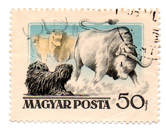 1956-Serie de Perros