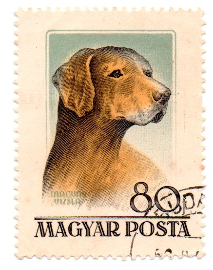 1956-Serie de Perros