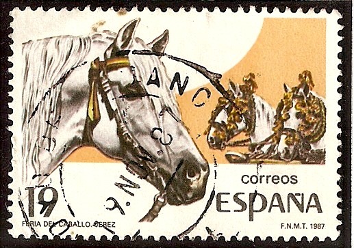 Grandes Fiestas Populares. Feria del caballo de Jerez de la Frontera, caballo cartujano