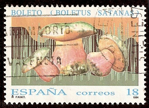 Boleto (Boletus satanas)