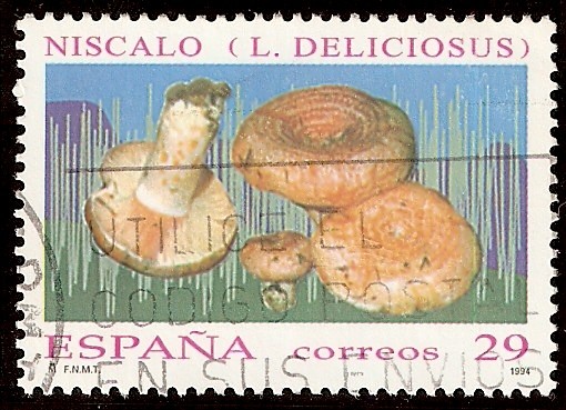 Níscalo (Lactarius deliciosus)