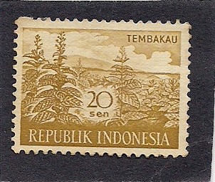 Tembakau