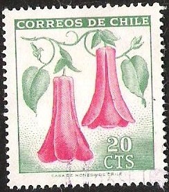 COPIHUE FLOR NACIONAL