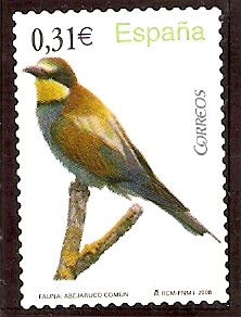 Abejarruco común (Merops apiaster)