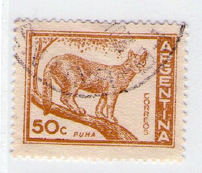 55  Puma 