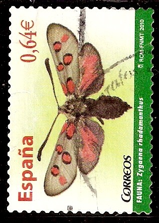 Zygaena rhadamanthus