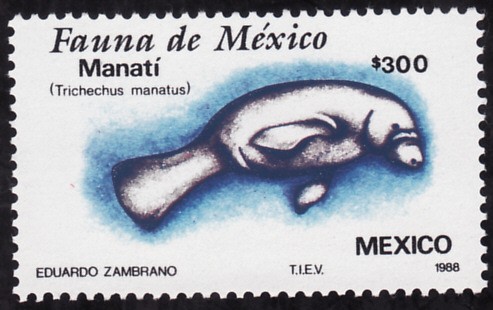 Fauna de México-MANATÍ