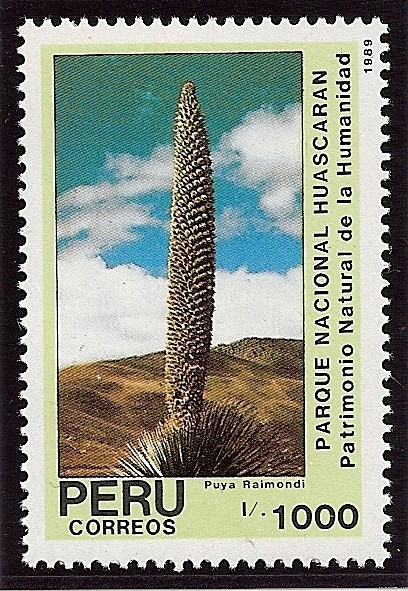 Parque Nacional Huascaran(Puya Raimondi)
